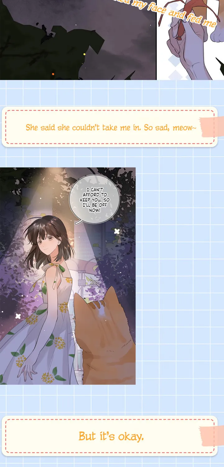Read Heliotrope & Ziz chapter 18.1 image 4 on Lezhin