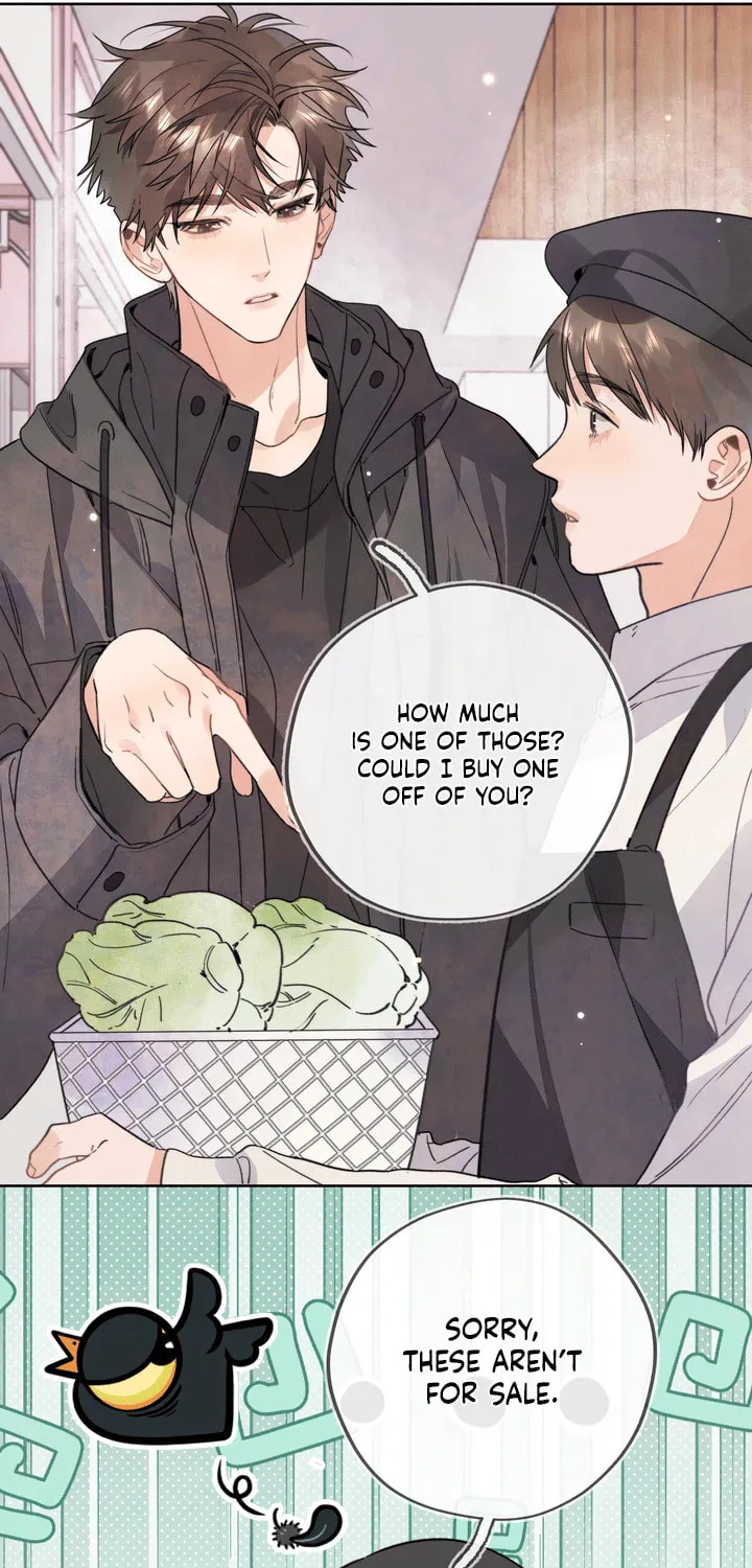 Read Heliotrope & Ziz chapter 37 image 20 on Lezhin