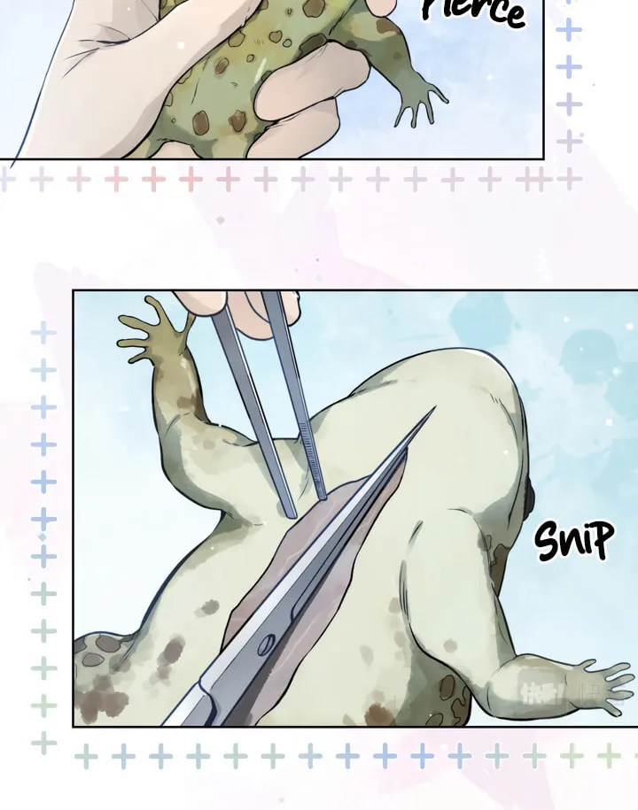 Read Heliotrope & Ziz chapter 4 image 6 on Lezhin