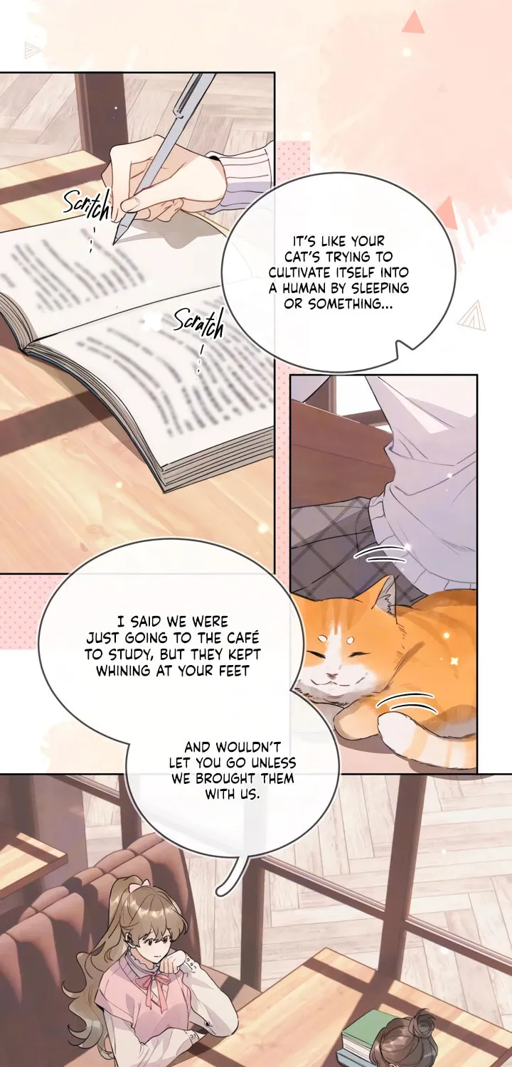 Read Heliotrope & Ziz chapter 47 image 21 on Lezhin
