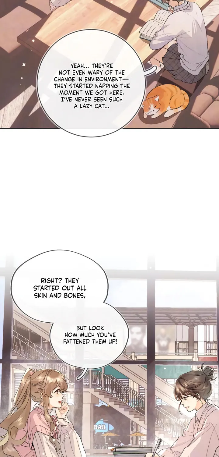 Read Heliotrope & Ziz chapter 47 image 22 on Lezhin