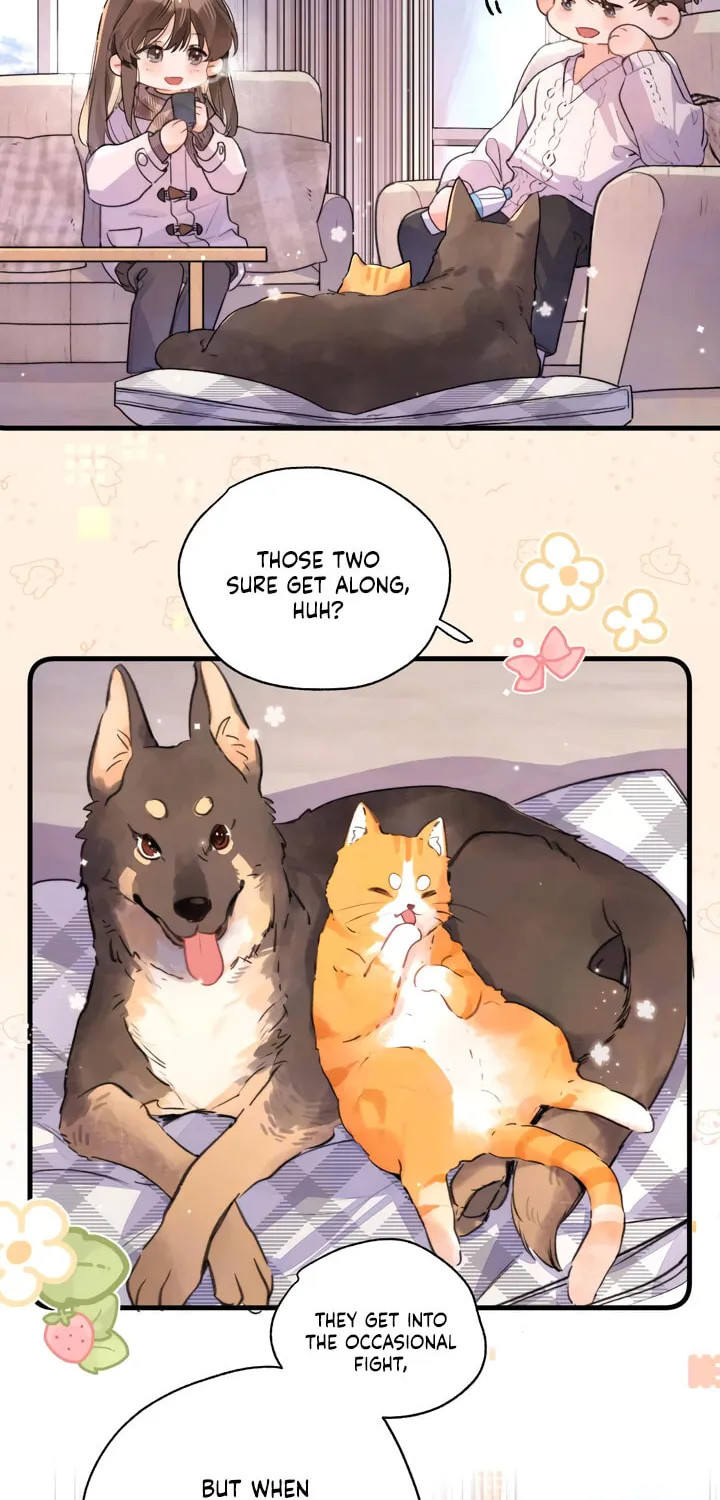Read Heliotrope & Ziz chapter 48.1 image 3 on Lezhin