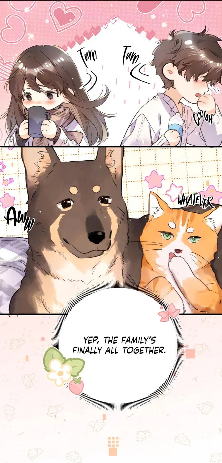 Read Heliotrope & Ziz chapter 48.1 image 6 on Lezhin