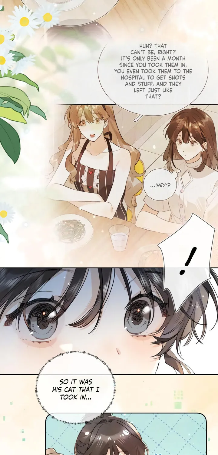 Read Heliotrope & Ziz chapter 48 image 4 on Lezhin
