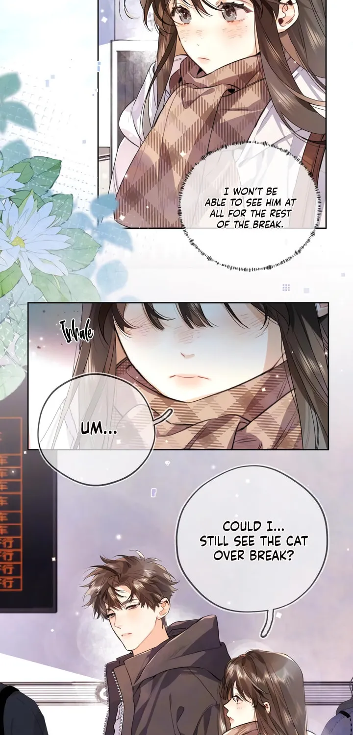 Read Heliotrope & Ziz chapter 49 image 13 on Lezhin