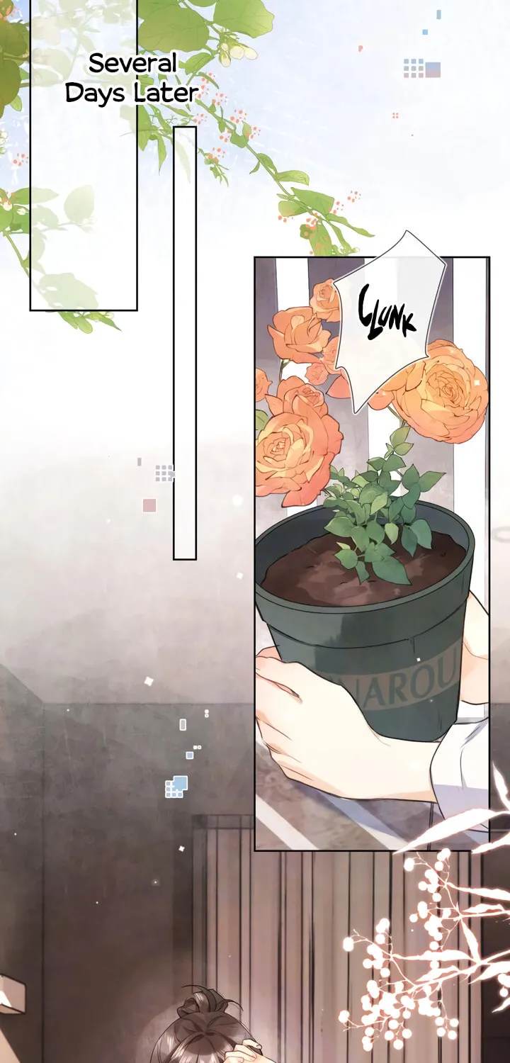 Read Heliotrope & Ziz chapter 50 image 3 on Lezhin