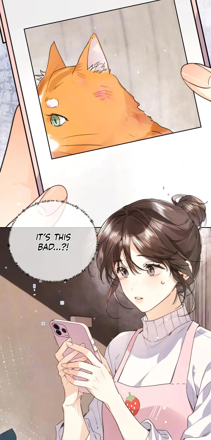Read Heliotrope & Ziz chapter 50 image 6 on Lezhin