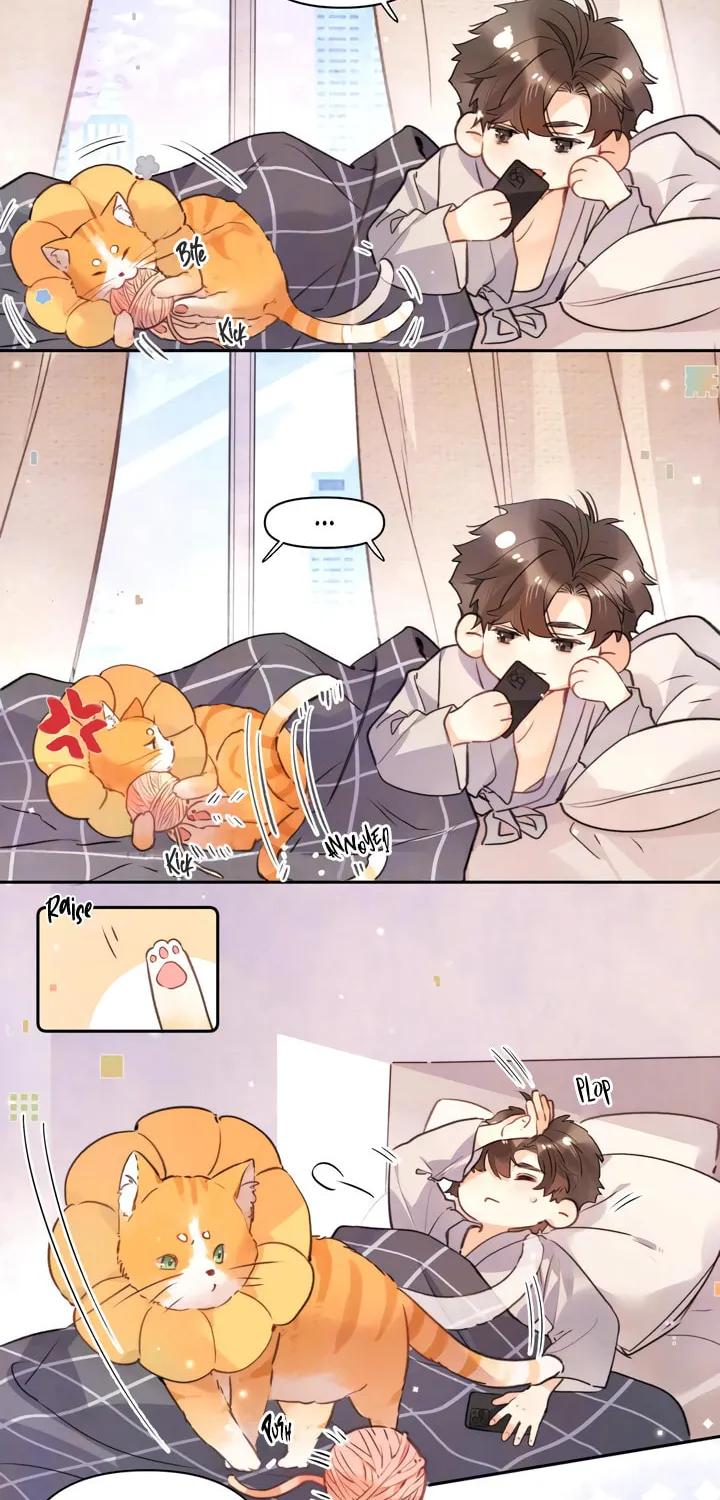 Read Heliotrope & Ziz chapter 51.1 image 2 on Lezhin
