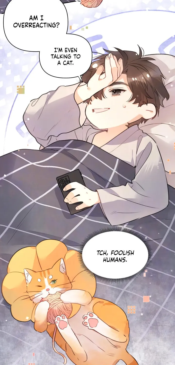 Read Heliotrope & Ziz chapter 51.1 image 3 on Lezhin