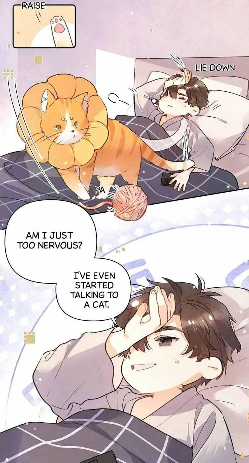 Read Heliotrope & Ziz chapter 51.5 image 6 on Lezhin
