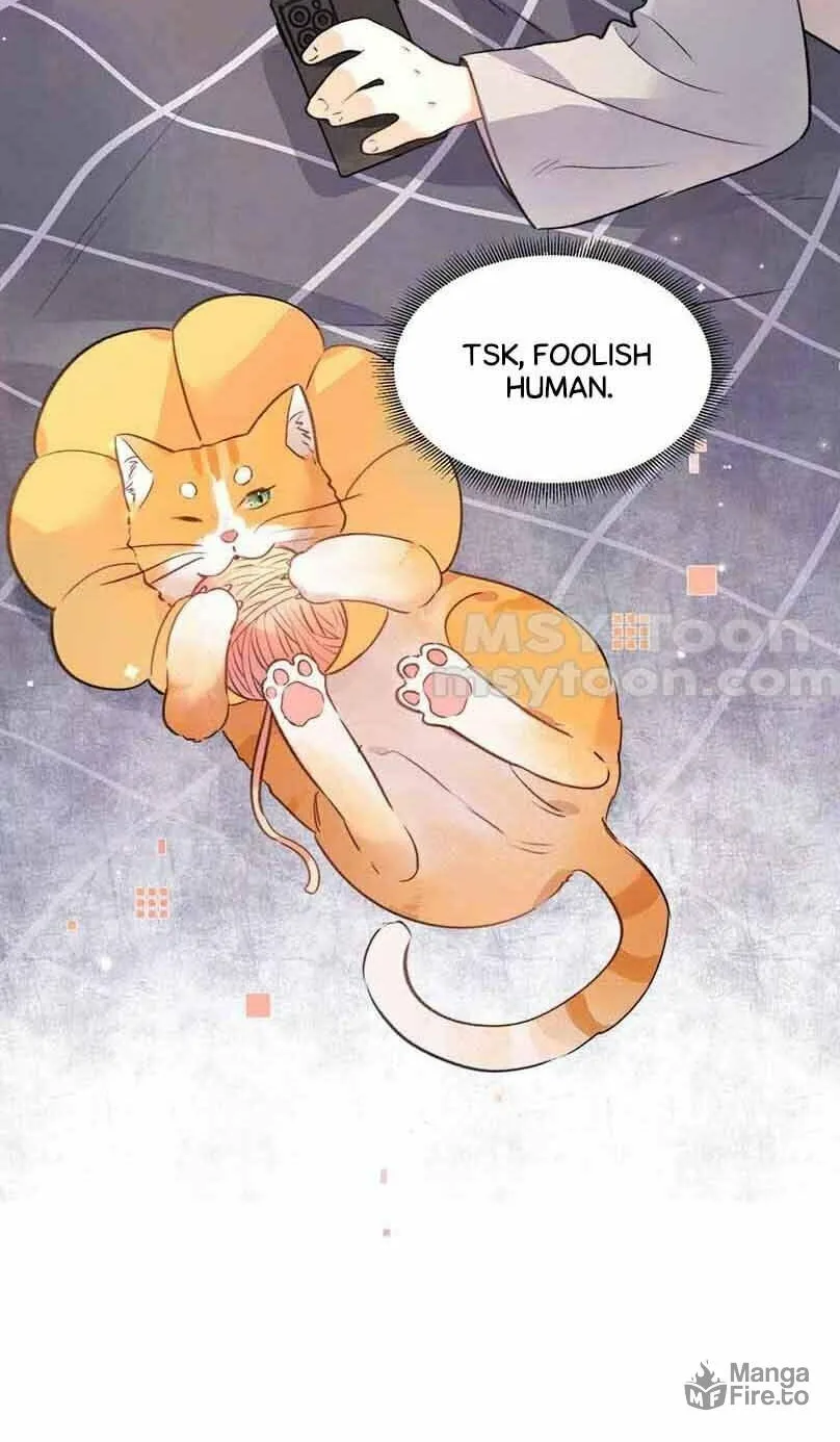 Read Heliotrope & Ziz chapter 51.5 image 7 on Lezhin
