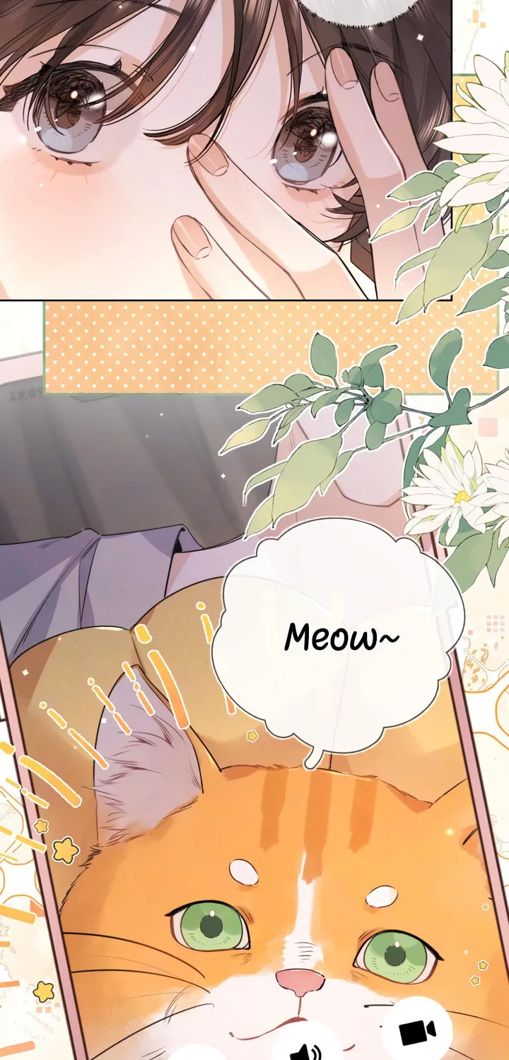 Read Heliotrope & Ziz chapter 51 image 3 on Lezhin