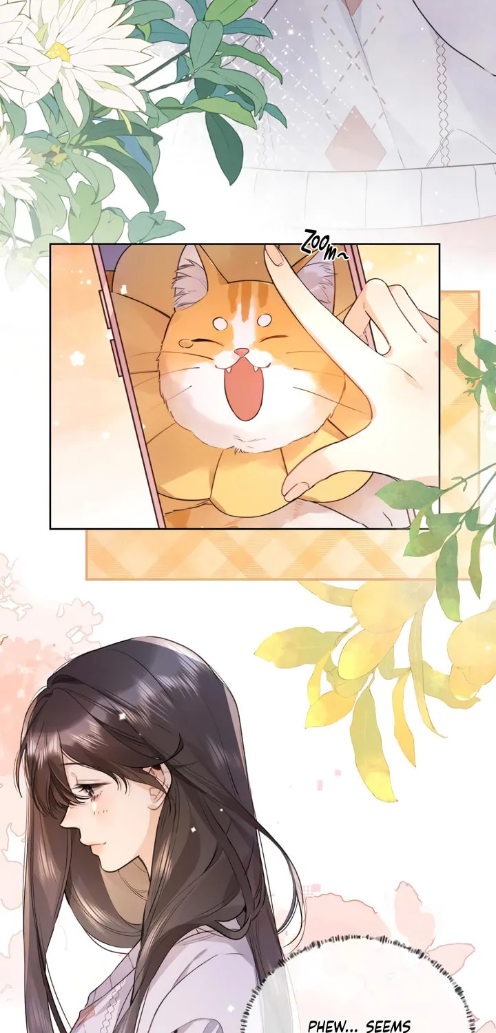Read Heliotrope & Ziz chapter 51 image 6 on Lezhin