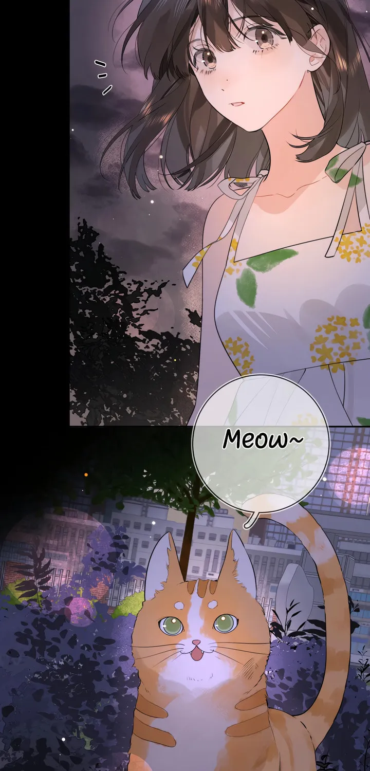 Read Heliotrope & Ziz chapter 9 image 18 on Lezhin