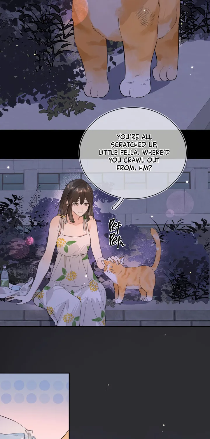 Read Heliotrope & Ziz chapter 9 image 19 on Lezhin
