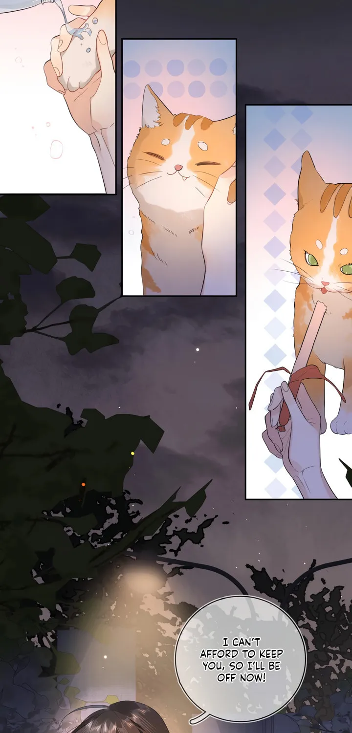 Read Heliotrope & Ziz chapter 9 image 20 on Lezhin