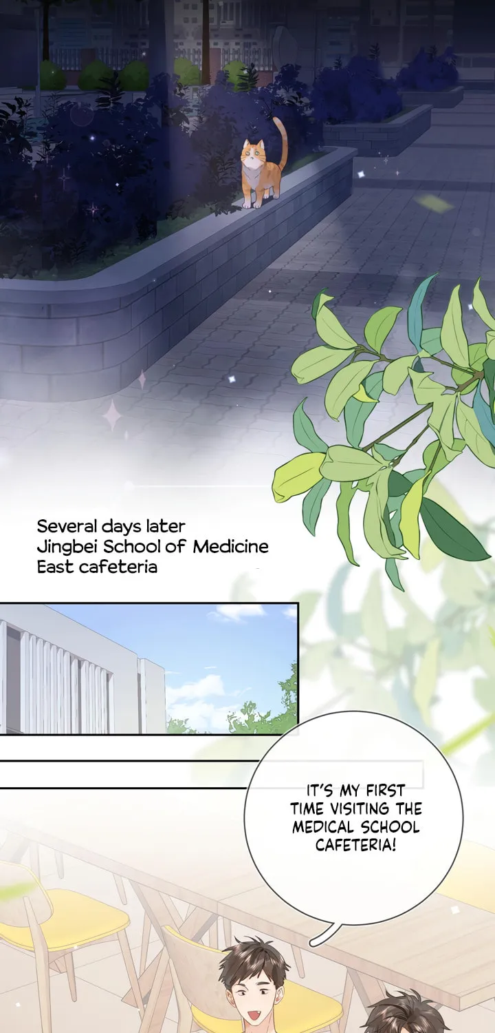 Read Heliotrope & Ziz chapter 9 image 22 on Lezhin