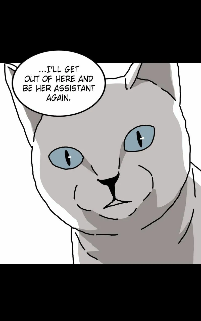 Read Hell of a Romance chapter 48 image 3 on Lezhin