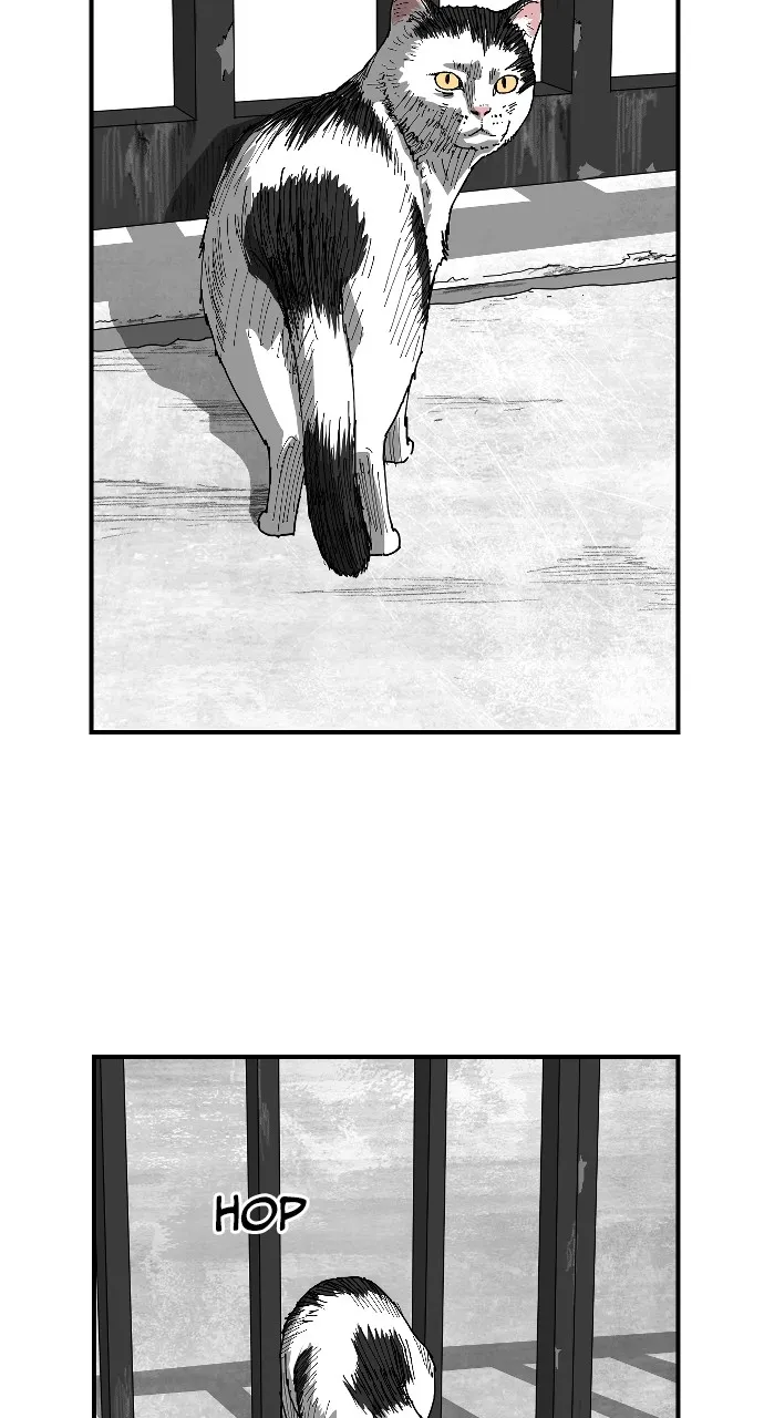 Read Hellbound 2: The Resurrected chapter 1 image 11 on Lezhin