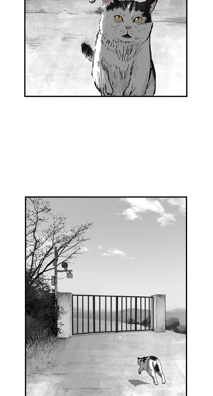Read Hellbound 2: The Resurrected chapter 1 image 8 on Lezhin