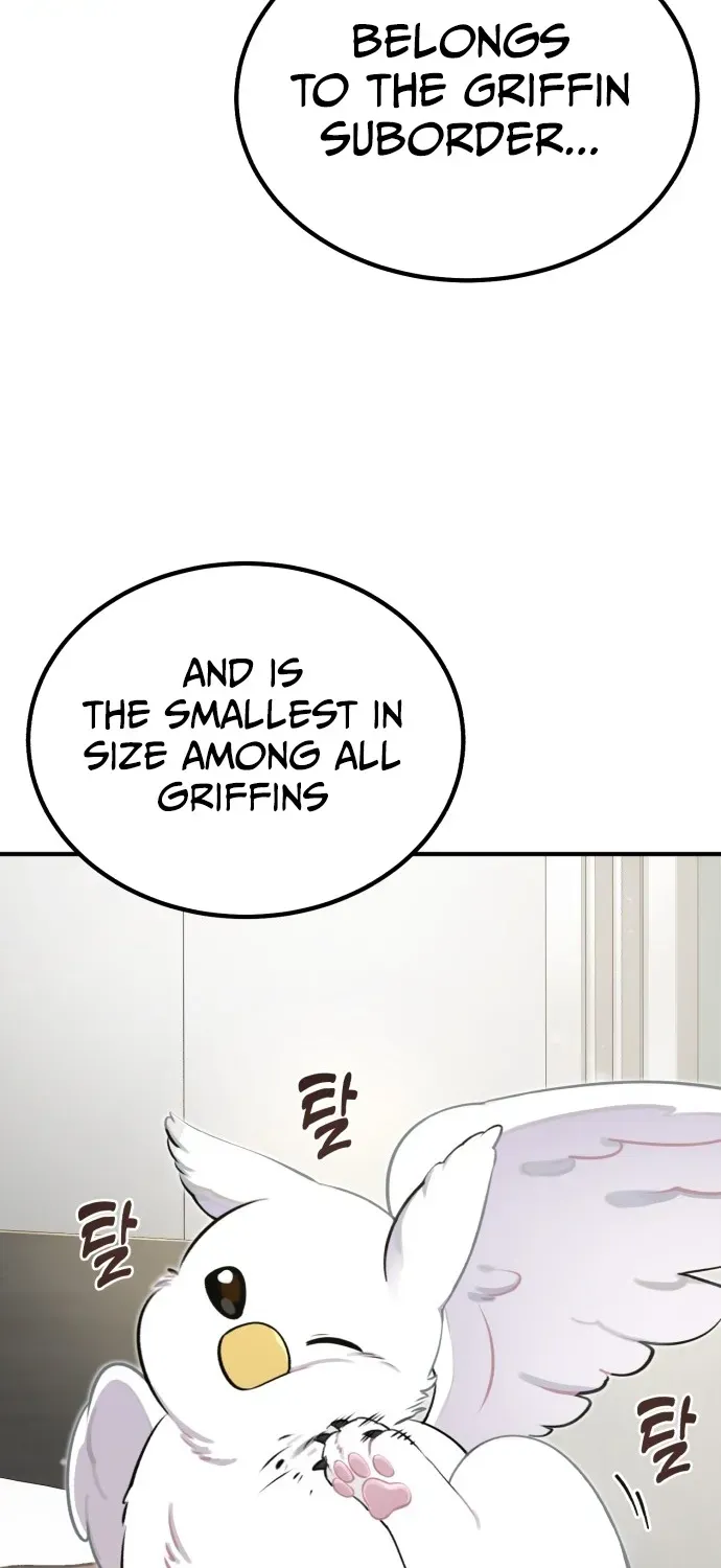 Read Hello, Fluffy Griffin! chapter 1 image 25 on Lezhin