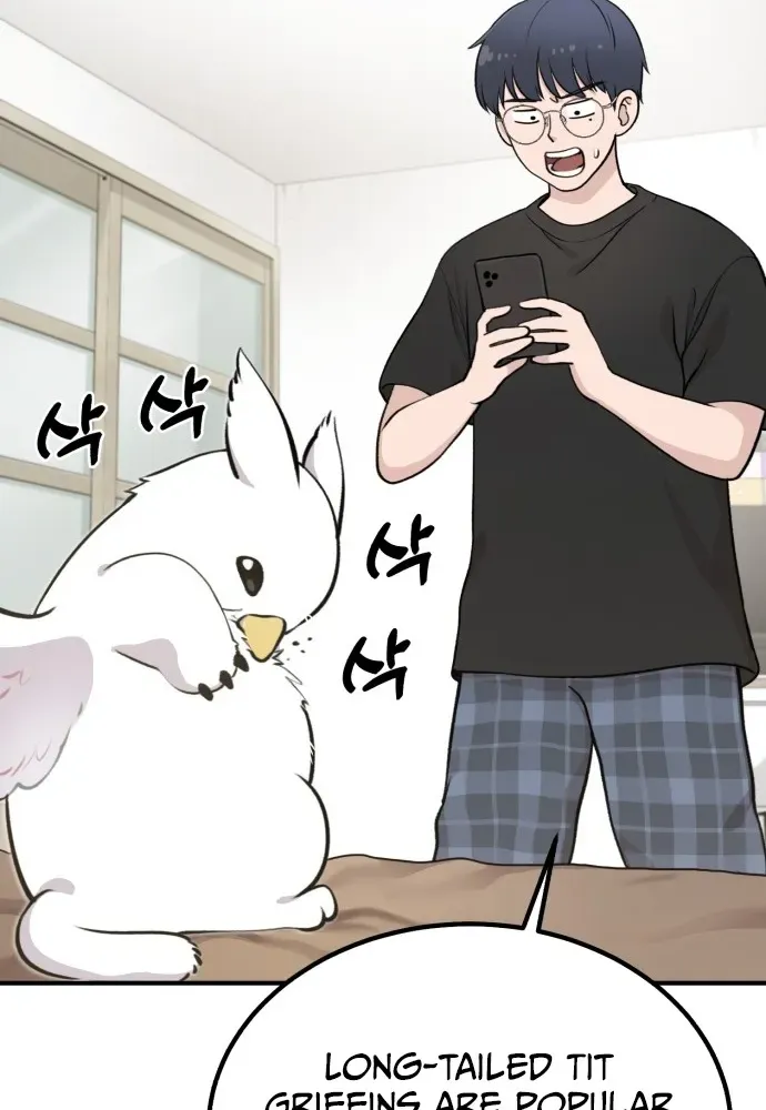 Read Hello, Fluffy Griffin! chapter 1 image 27 on Lezhin