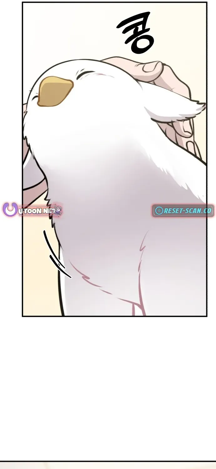 Read Hello, Fluffy Griffin! chapter 1 image 33 on Lezhin