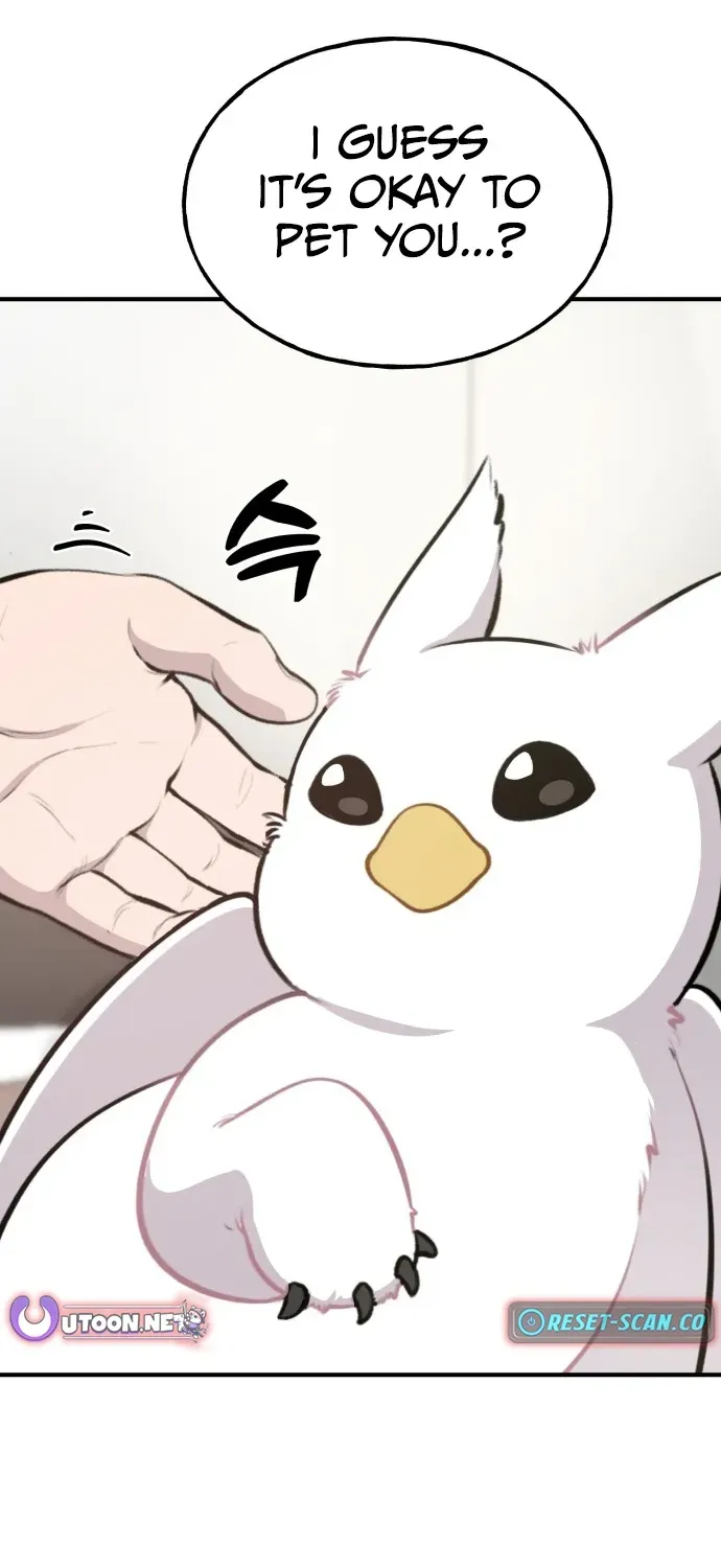 Read Hello, Fluffy Griffin! chapter 1 image 37 on Lezhin
