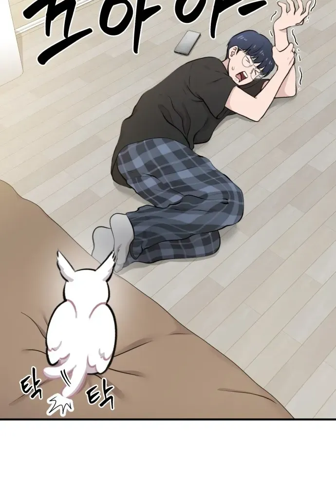 Read Hello, Fluffy Griffin! chapter 1 image 41 on Lezhin