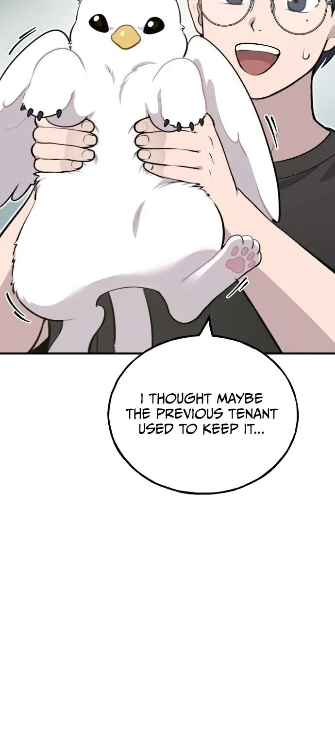 Read Hello, Fluffy Griffin! chapter 1 image 52 on Lezhin