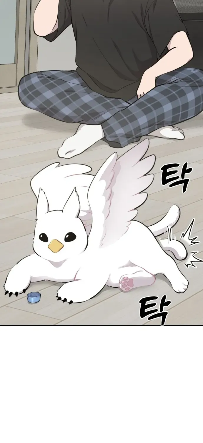 Read Hello, Fluffy Griffin! chapter 1 image 68 on Lezhin