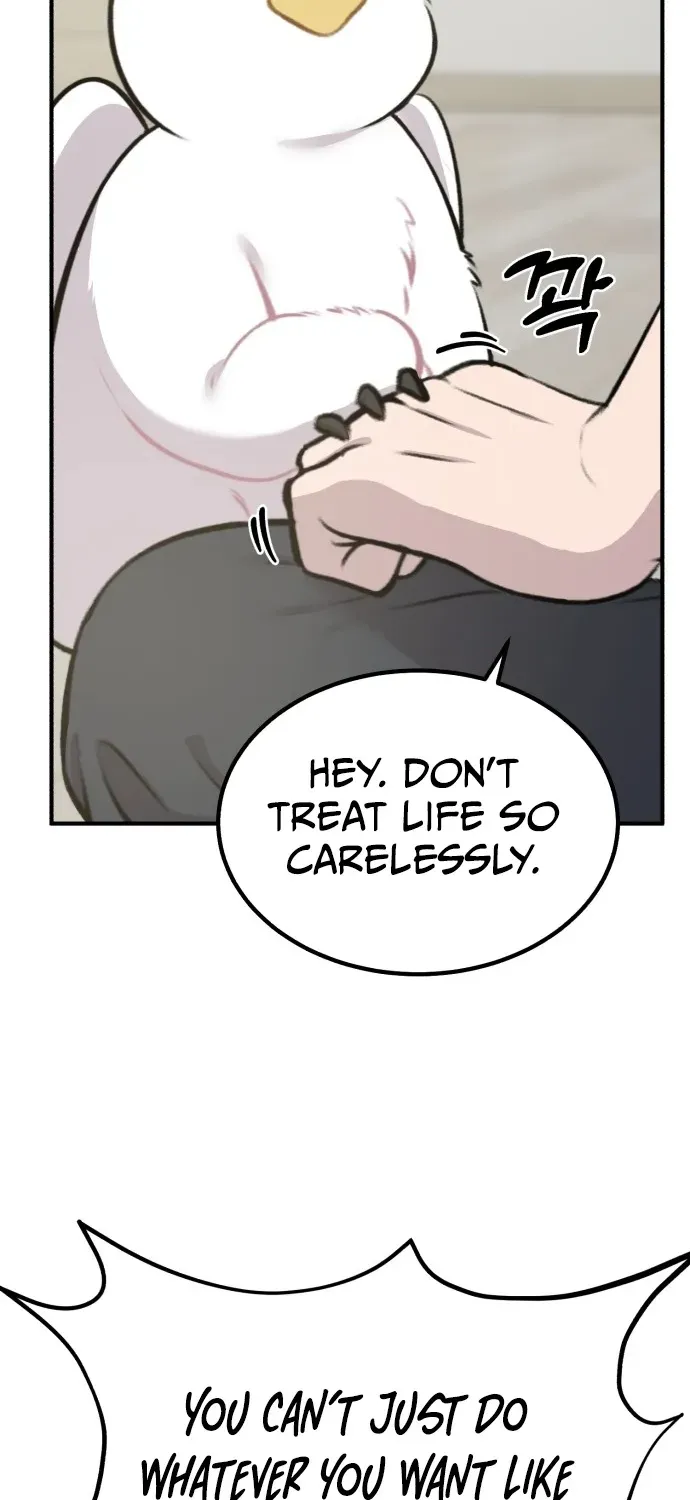 Read Hello, Fluffy Griffin! chapter 1 image 72 on Lezhin