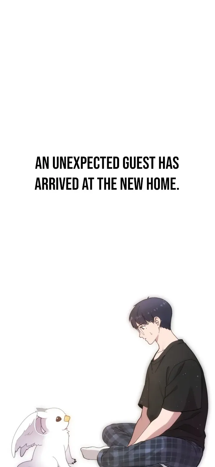 Read Hello, Fluffy Griffin! chapter 1 image 86 on Lezhin