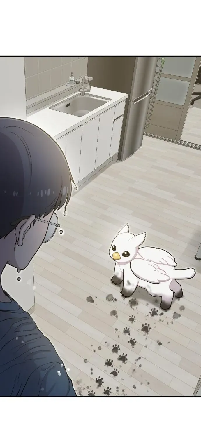 Read Hello, Fluffy Griffin! chapter 10 image 61 on Lezhin