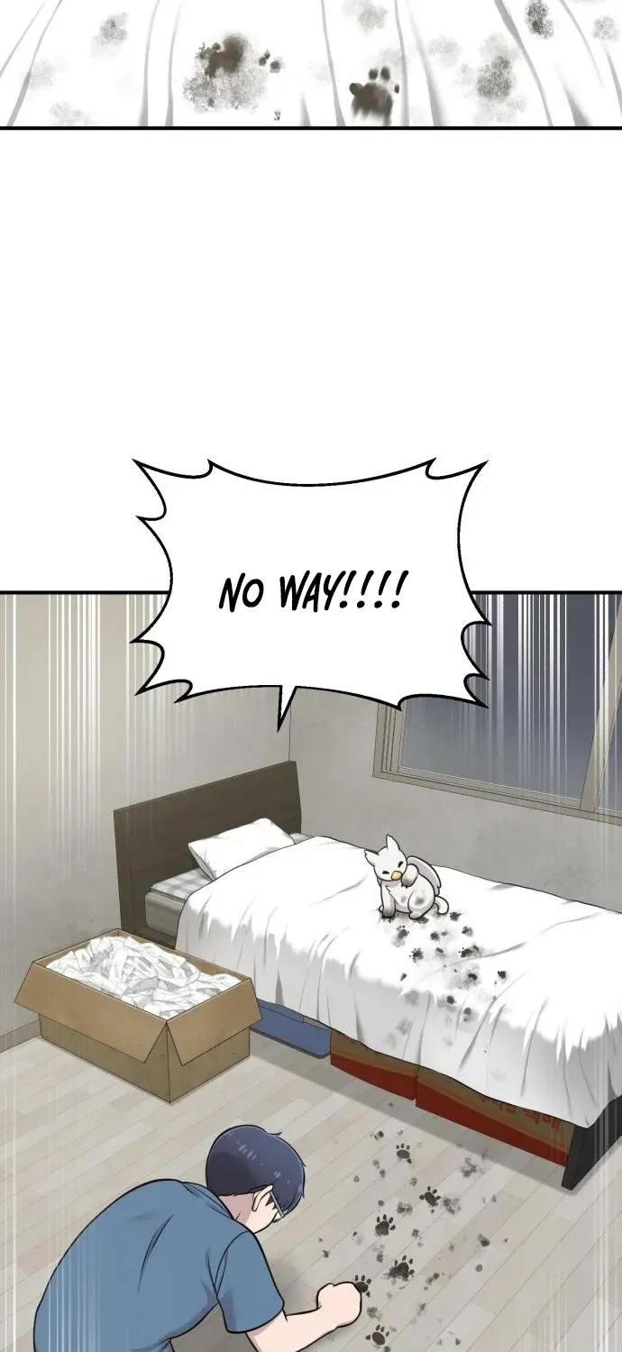 Read Hello, Fluffy Griffin! chapter 10 image 66 on Lezhin