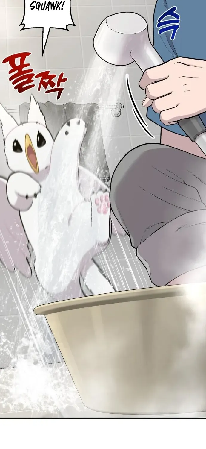 Read Hello, Fluffy Griffin! chapter 11 image 10 on Lezhin