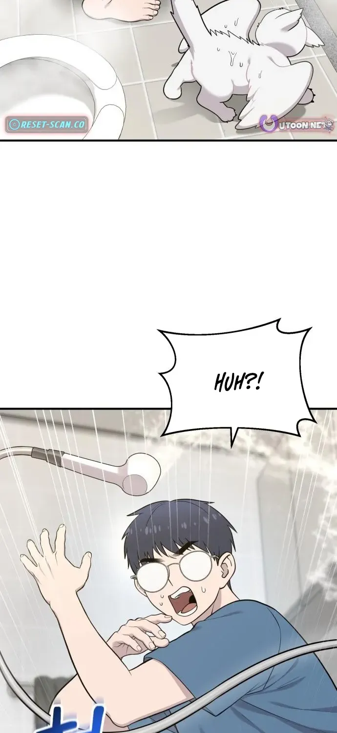 Read Hello, Fluffy Griffin! chapter 11 image 12 on Lezhin