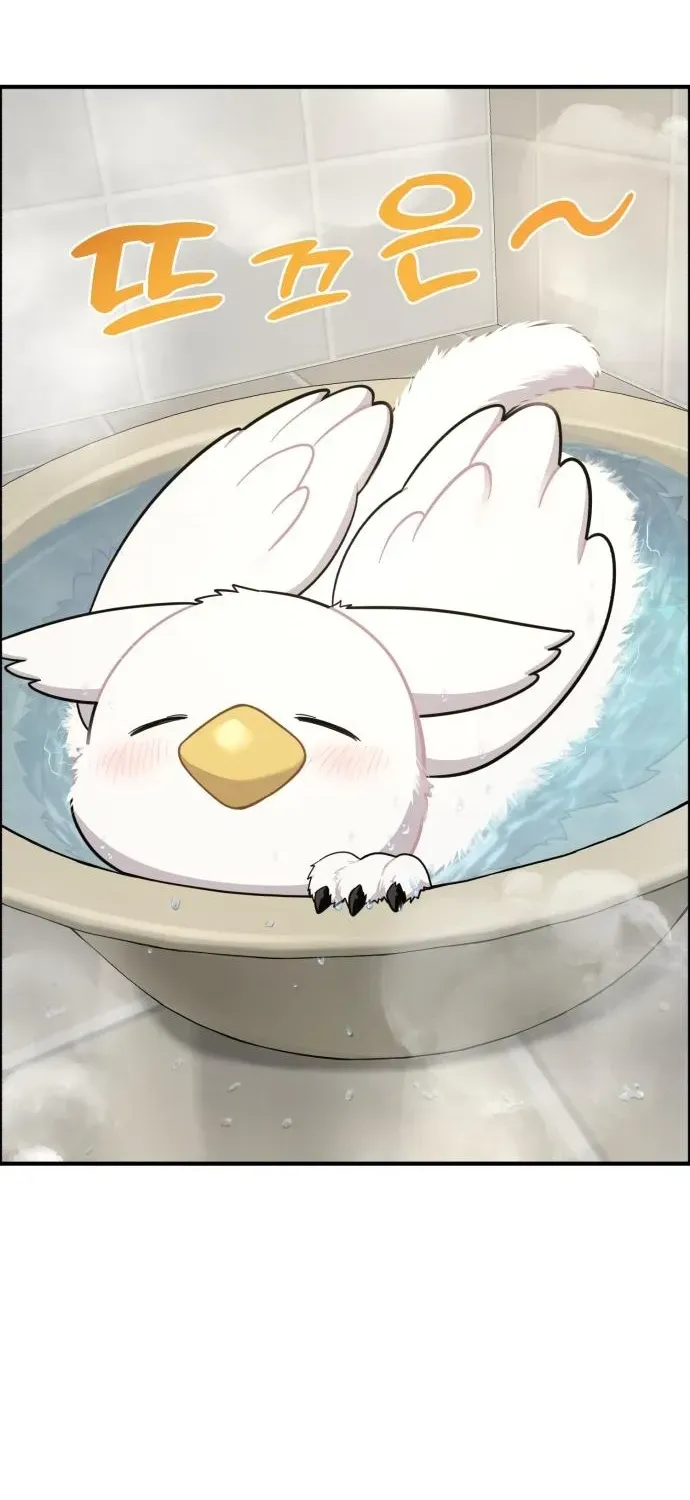 Read Hello, Fluffy Griffin! chapter 11 image 15 on Lezhin