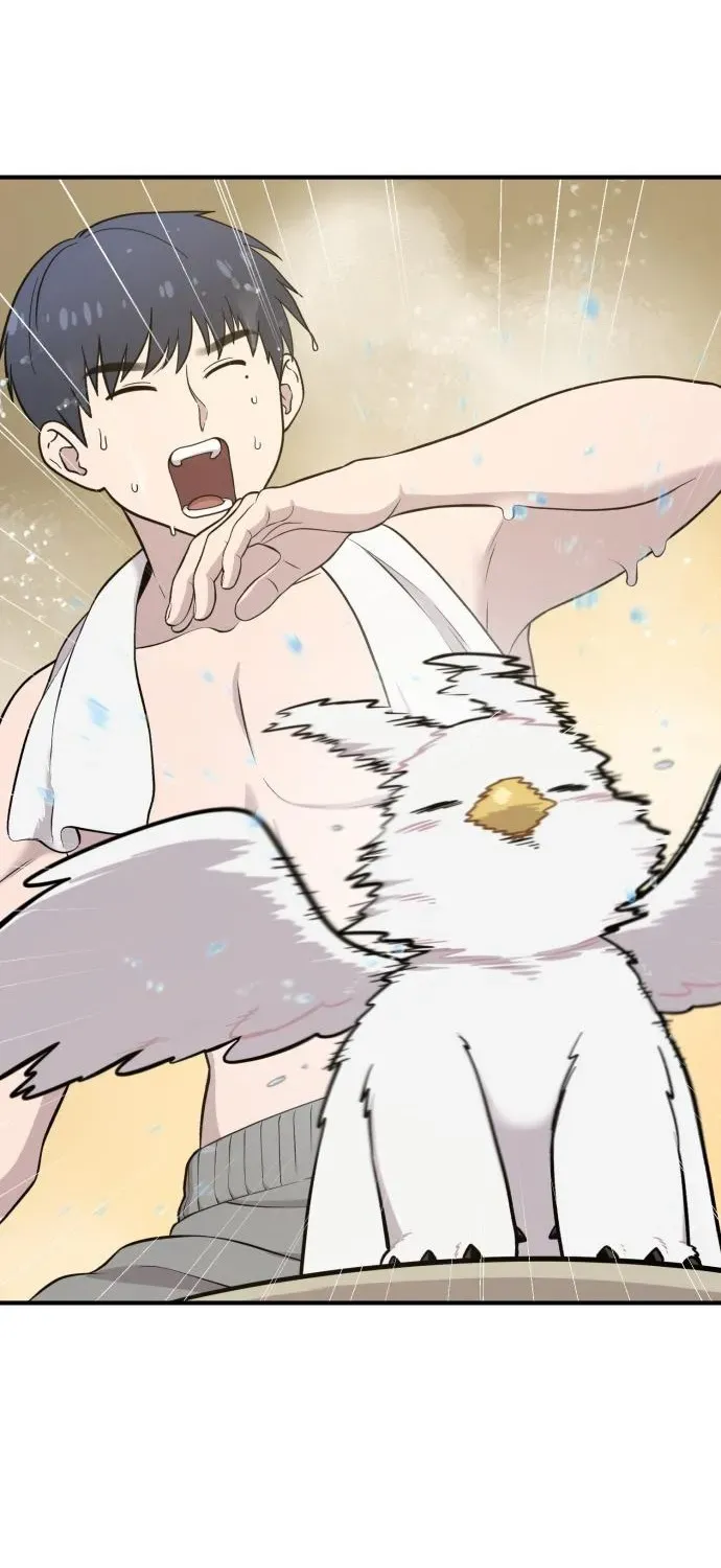 Read Hello, Fluffy Griffin! chapter 11 image 21 on Lezhin