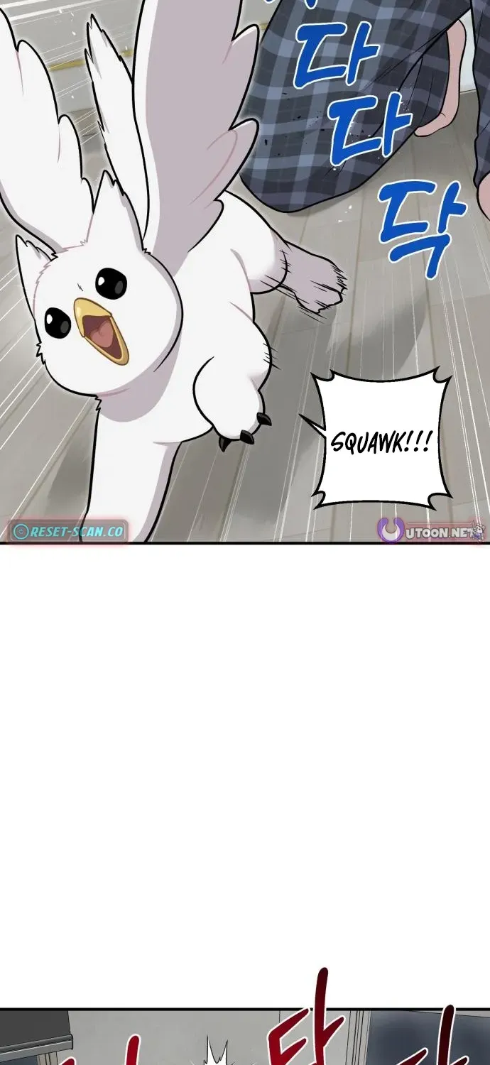 Read Hello, Fluffy Griffin! chapter 11 image 36 on Lezhin