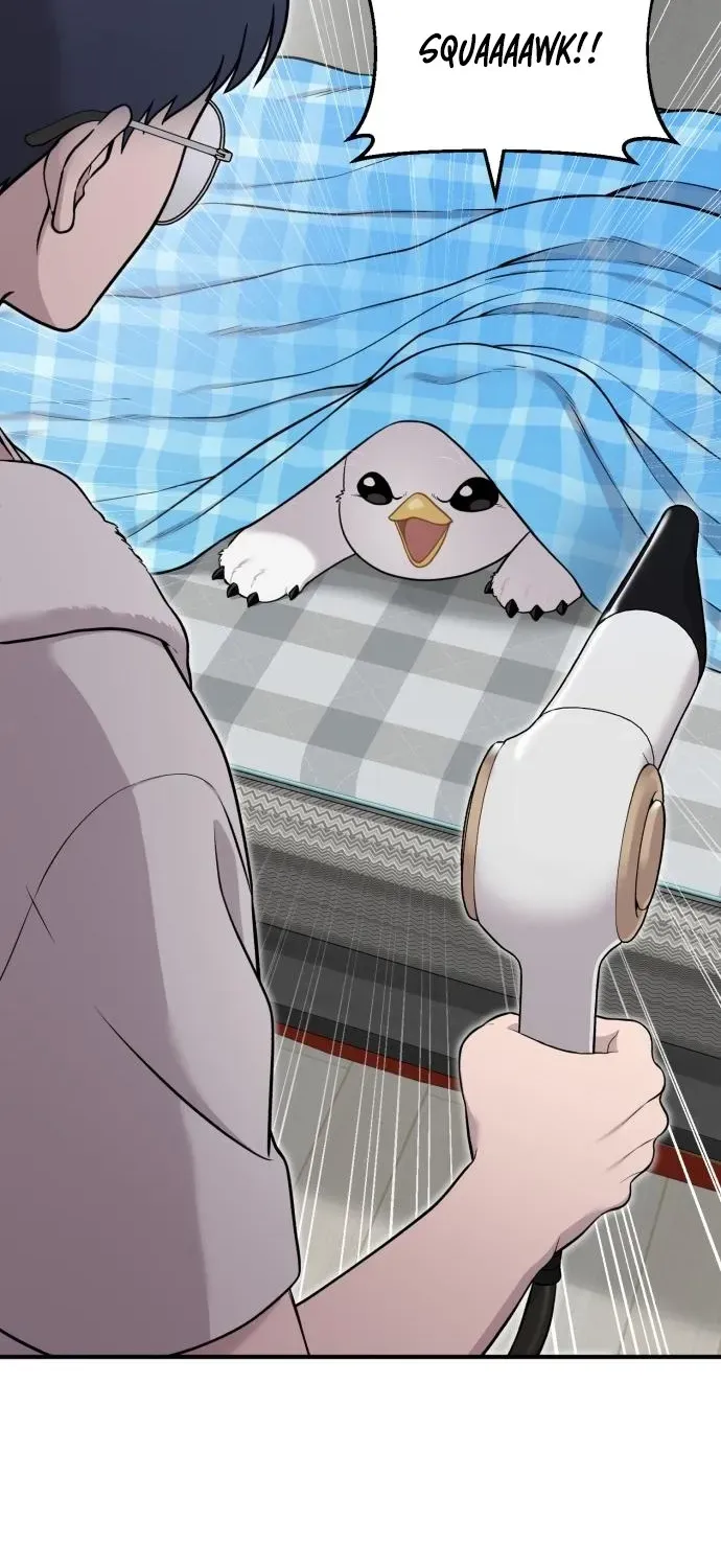 Read Hello, Fluffy Griffin! chapter 11 image 40 on Lezhin
