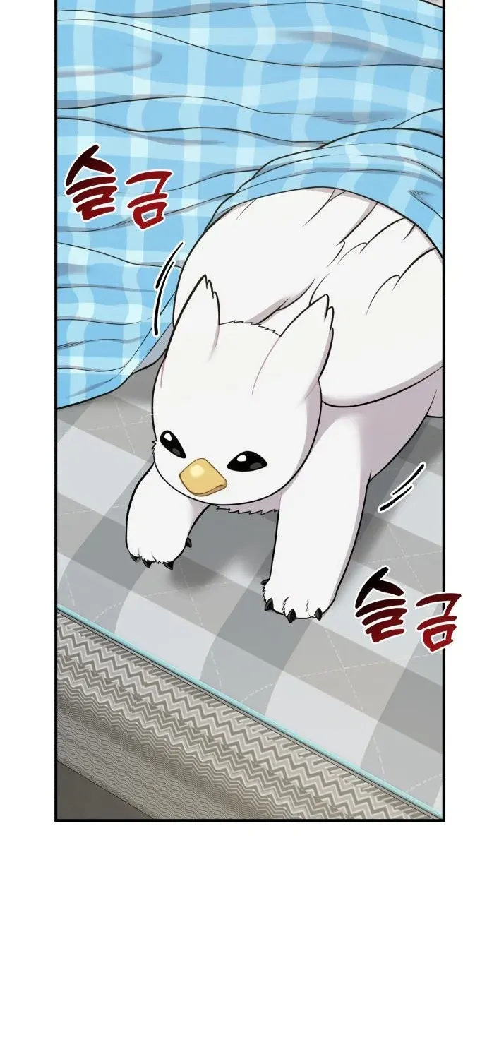 Read Hello, Fluffy Griffin! chapter 11 image 49 on Lezhin