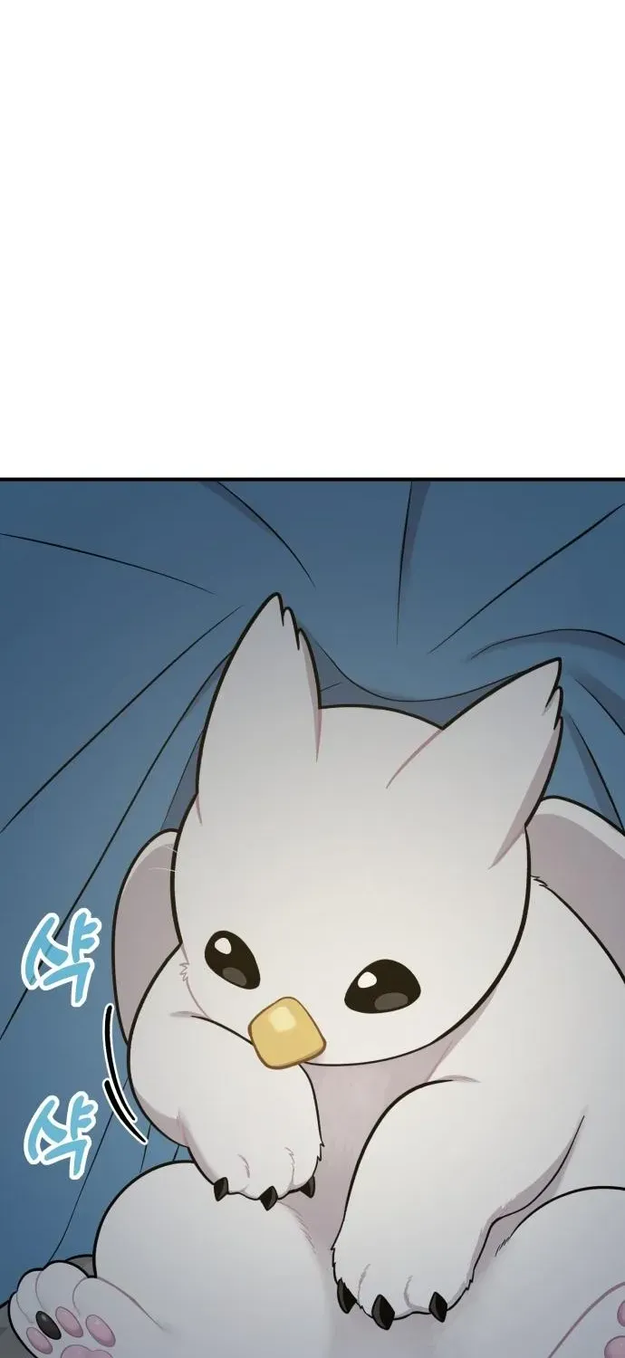 Read Hello, Fluffy Griffin! chapter 11 image 54 on Lezhin