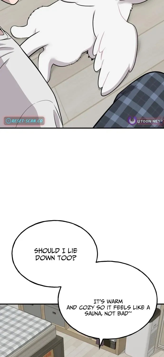 Read Hello, Fluffy Griffin! chapter 11 image 63 on Lezhin