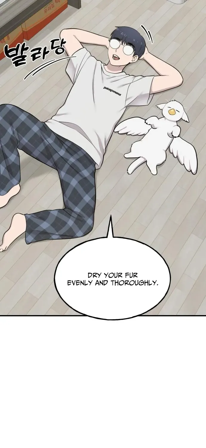 Read Hello, Fluffy Griffin! chapter 11 image 64 on Lezhin