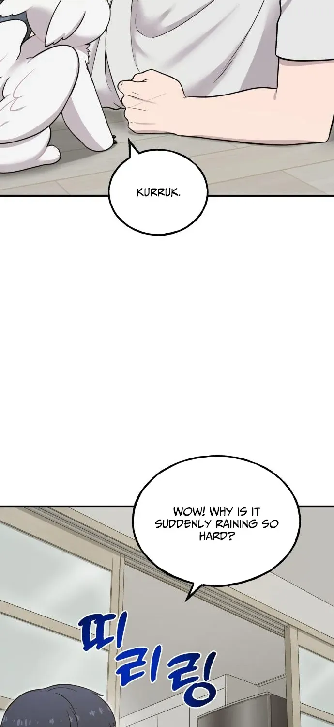 Read Hello, Fluffy Griffin! chapter 11 image 67 on Lezhin