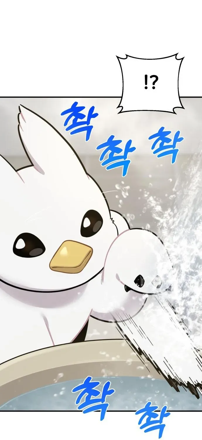 Read Hello, Fluffy Griffin! chapter 11 image 7 on Lezhin