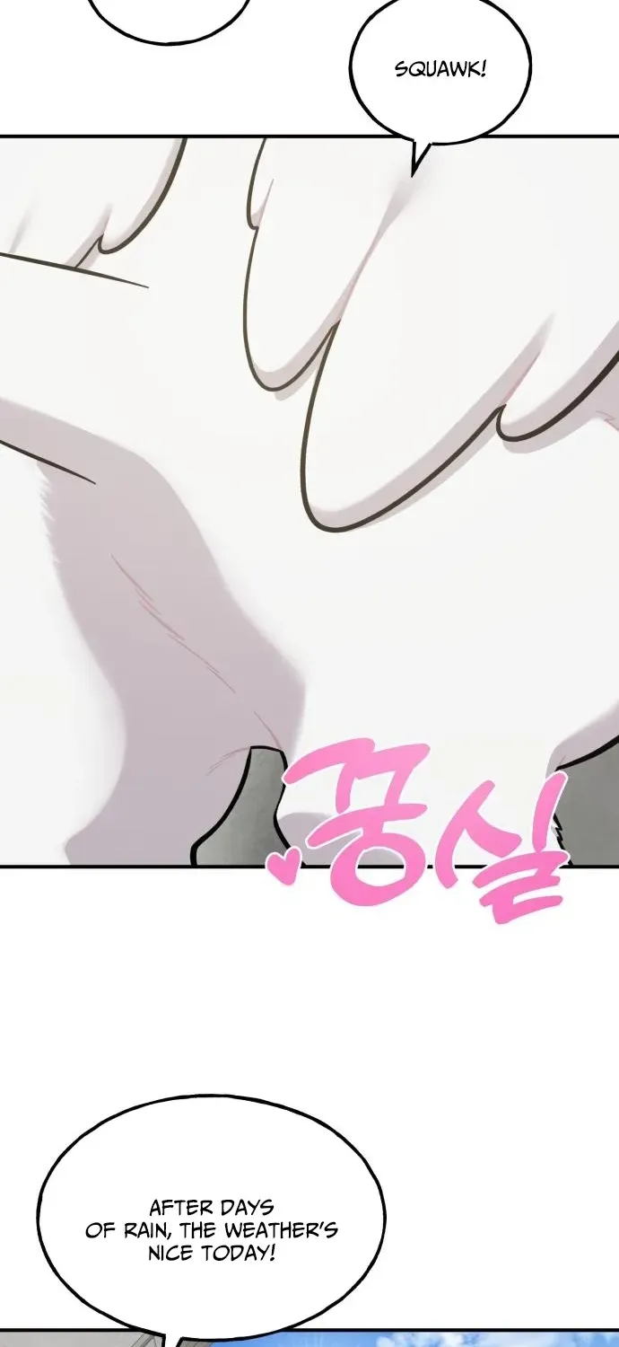 Read Hello, Fluffy Griffin! chapter 12 image 1 on Lezhin