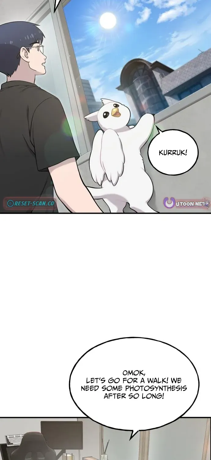Read Hello, Fluffy Griffin! chapter 12 image 2 on Lezhin