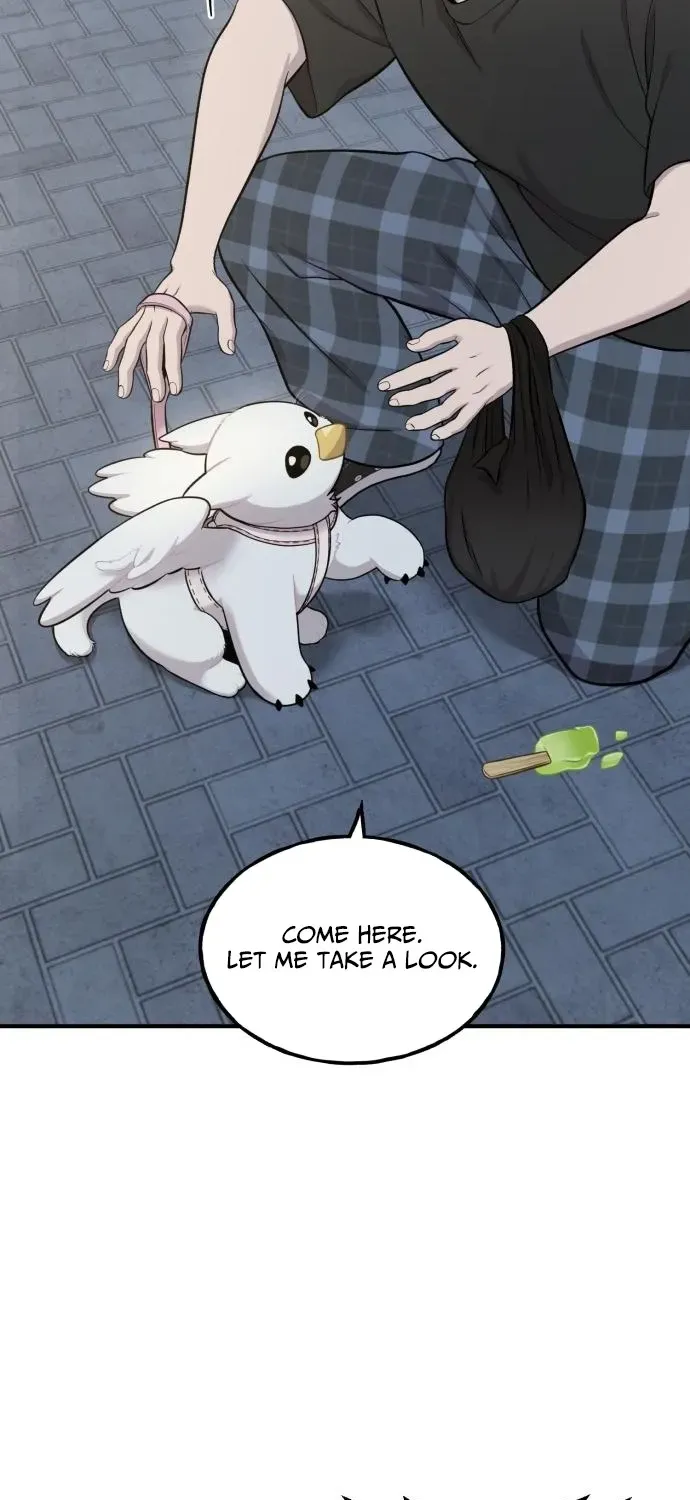 Read Hello, Fluffy Griffin! chapter 12 image 52 on Lezhin